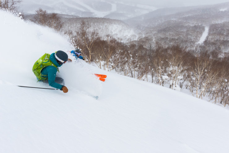 Powder Guiding Skiing Lr 6