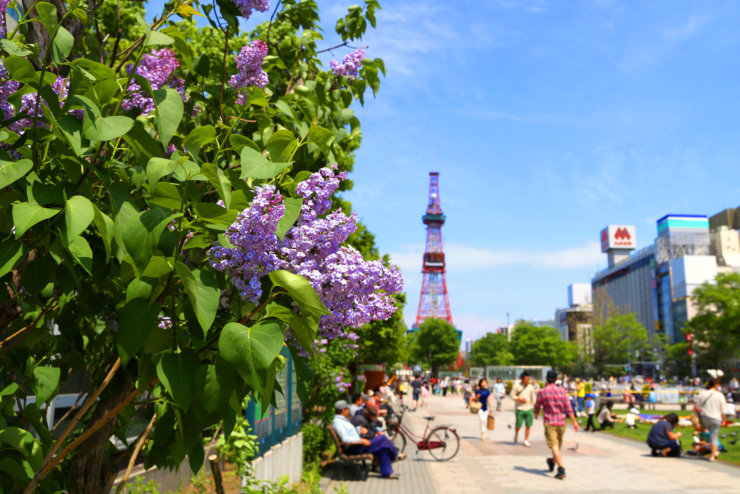 Sapporo 6