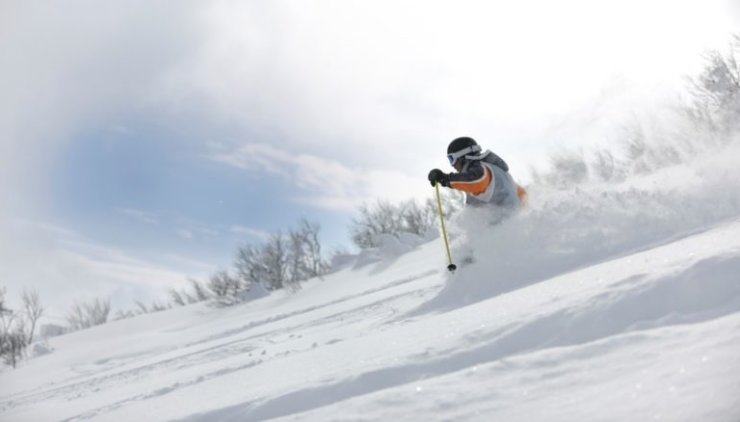 Ski