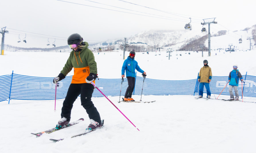 Go Snow Adult Group Lesson