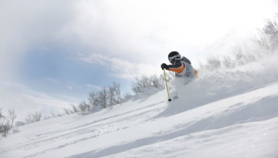 Ski