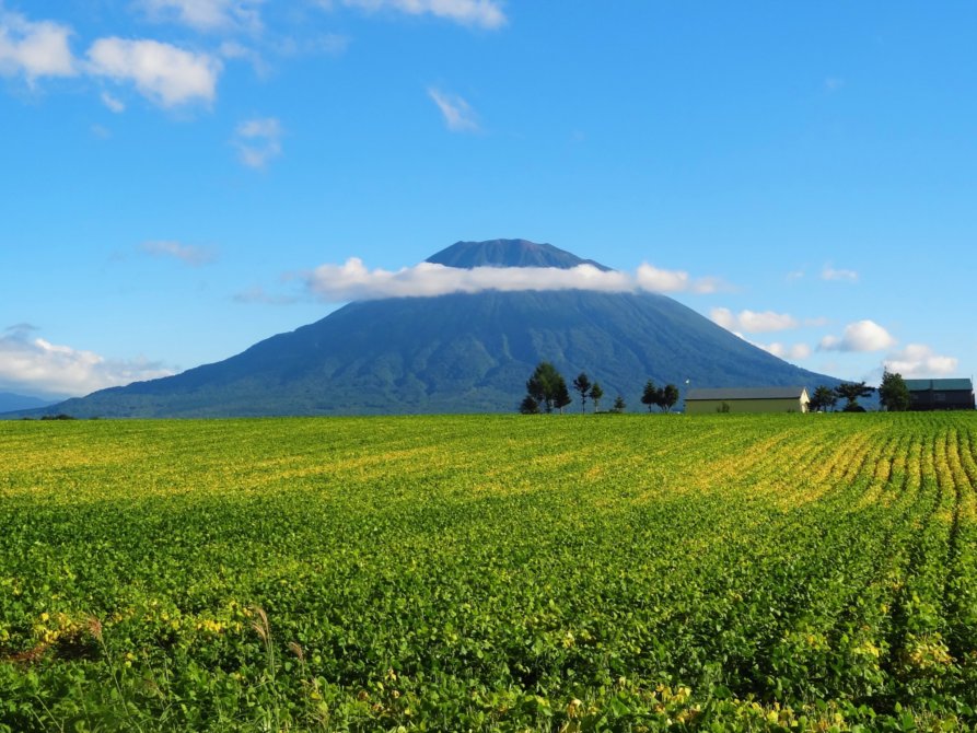 Mt Yotei Summer