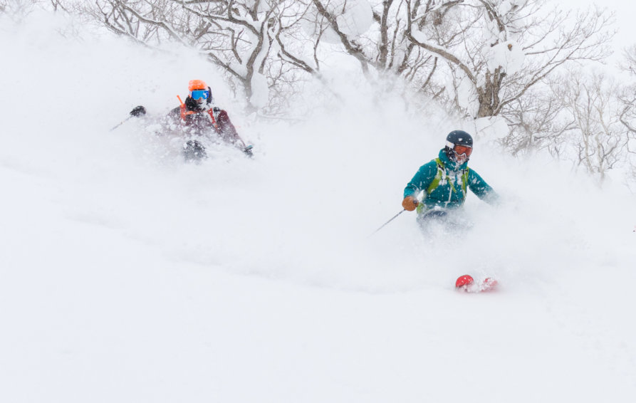 Ski in Niseko
