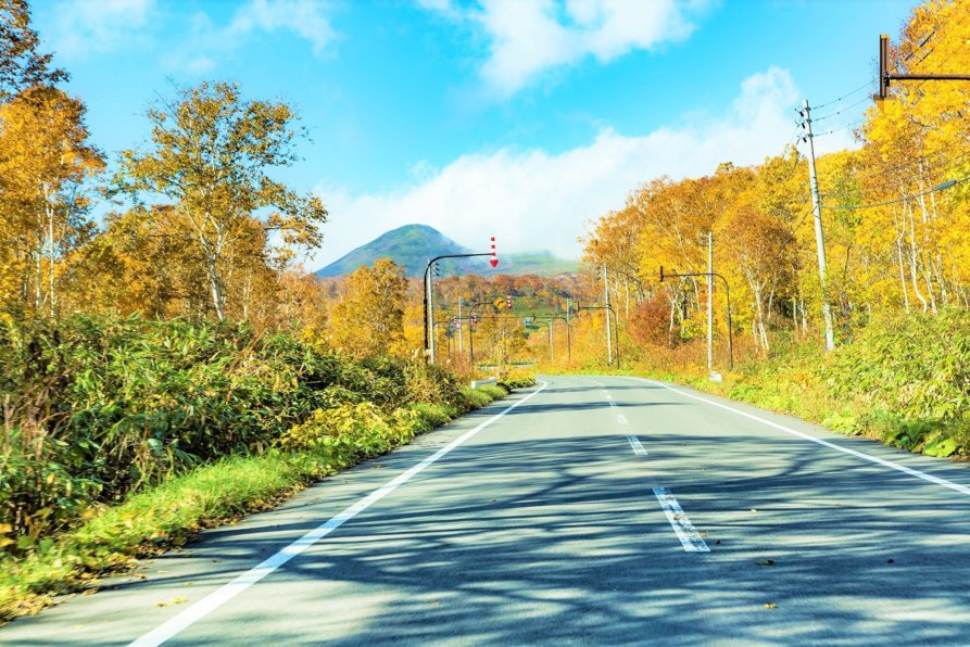 Panorama Line In Autumn On The Road