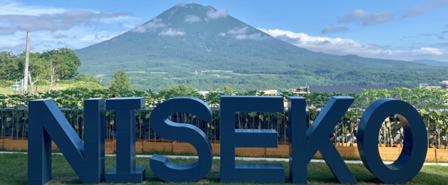 Cropped Niseko Sign Itself