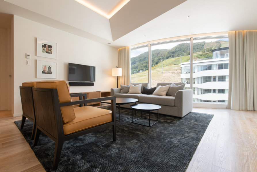 1 Bedroom Living Room